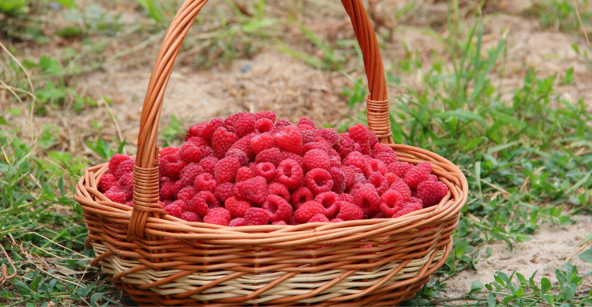 Raspberries